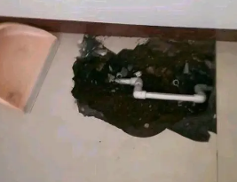 鹿邑卫生间测漏水多少钱